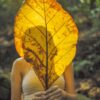 woman in white tank top holding yellow maple leaf