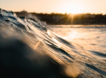 UnsplashのMatt Hardyが撮影した写真