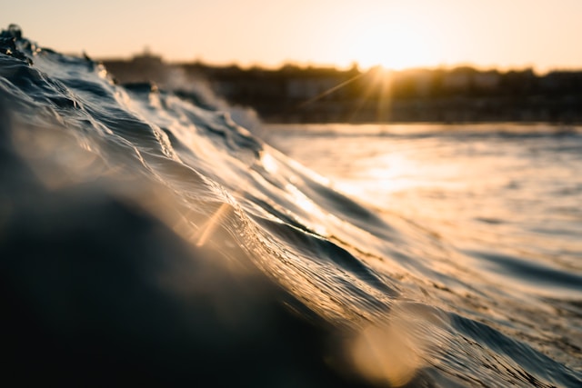 UnsplashのMatt Hardyが撮影した写真